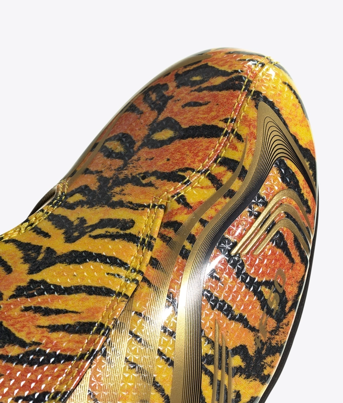 F50 TAEKWONDO