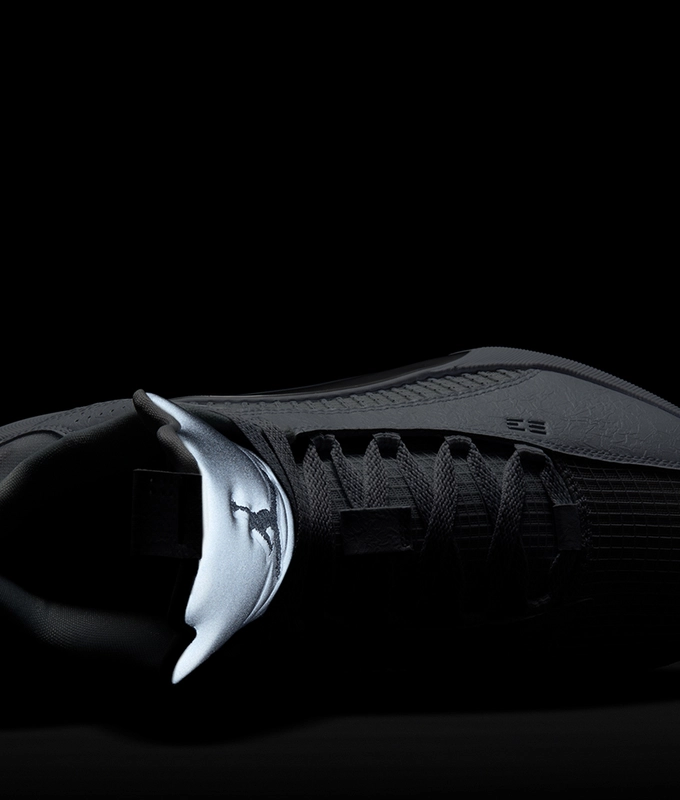 Air Jordan Xxxv Low Pf